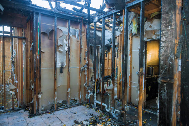 Professional Smoke Odor Removal technician working in Ashburn, VA