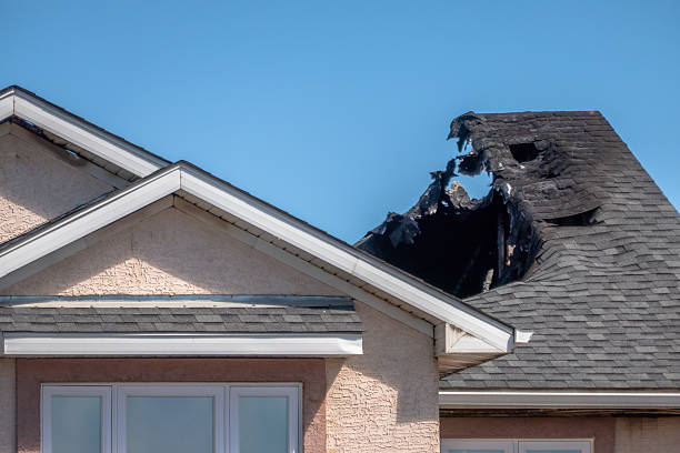 Top rated local Smoke Odor Removal specialists in Ashburn, VA